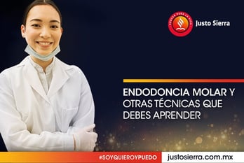 endodoncista enseña sobre la endodoncia molar 